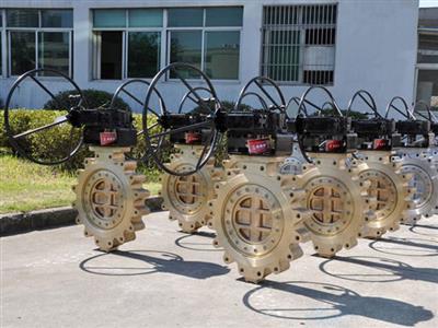 Butterfly Valve1