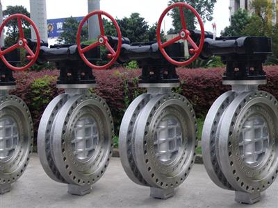 Butterfly Valve6