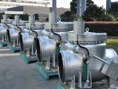 Check Valve