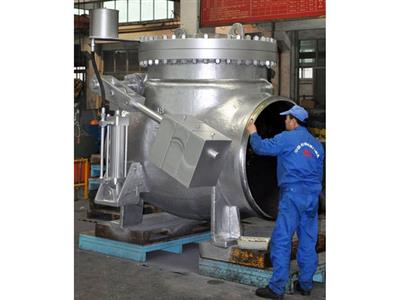Check Valve1