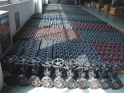 Forged Valve
