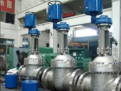 Gate Valve5