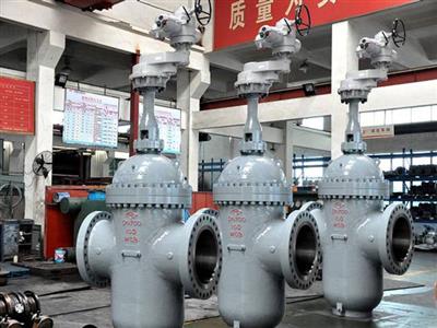 Gate Valve6