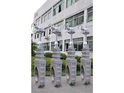 Gate Valve7