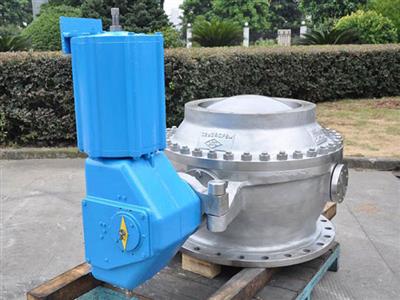 Steam valve