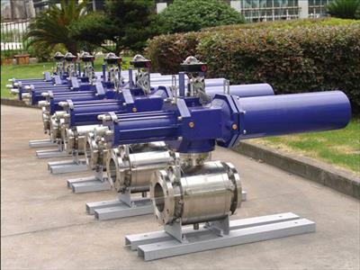 Trunnion Mounted Ball Valve3