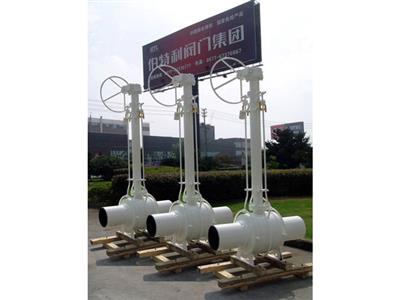 Trunnion Mounted Ball Valve4