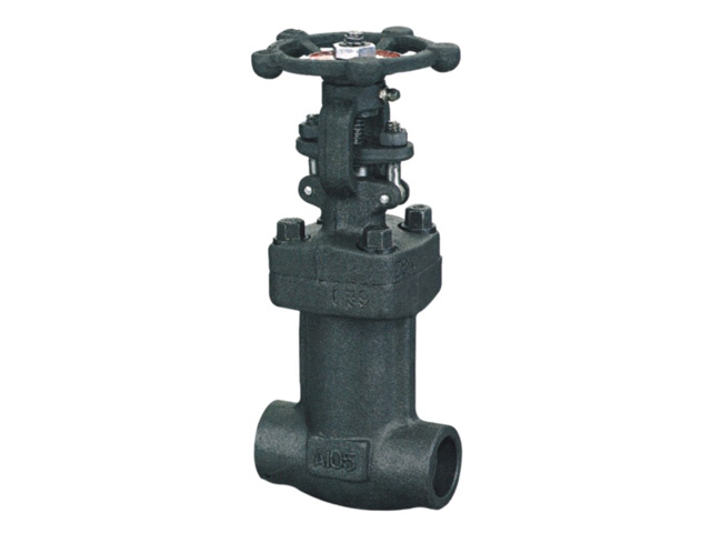 Bellow Gate Valve