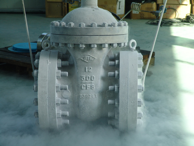 Cryogenic Gate Valve