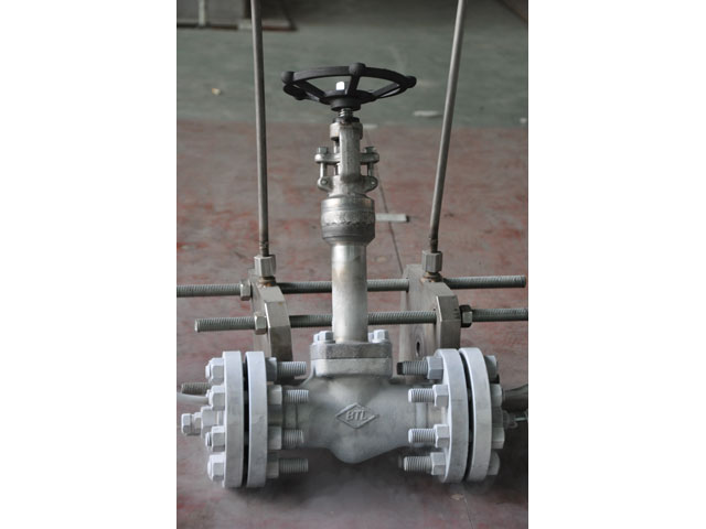 cryogenic globe valve